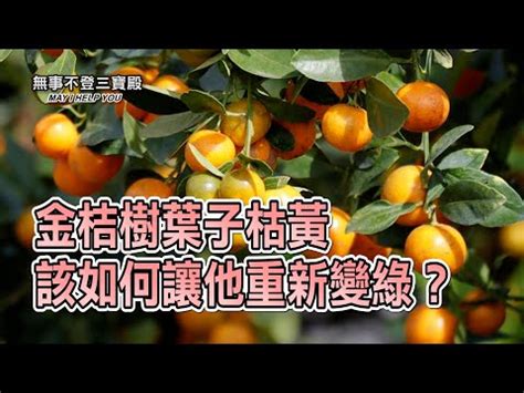 螢石擺放位置|水晶如何擺放？完整指南：客廳、書房、主臥室、浴室、辦公室